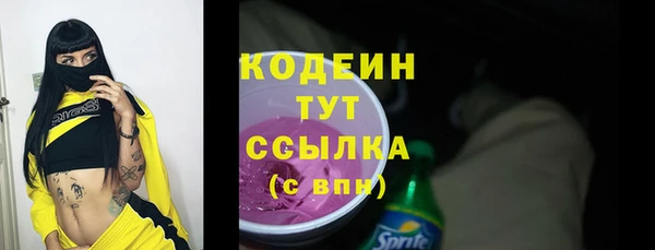 индика Баксан