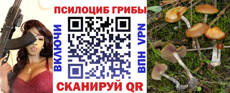 где продают   Сенгилей  Псилоцибиновые грибы GOLDEN TEACHER 